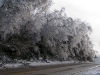 ice storm 2009