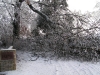 ice storm 2009