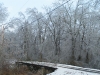 ice storm 2009