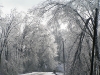 ice storm 2009