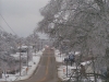 ice storm 2009