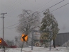 ice storm 2009