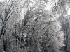 ice storm 2009