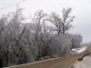 ice storm 2009