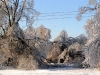 ice storm 2009