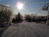 ice storm 2009