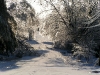 ice storm 2009