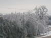 ice storm 2009