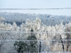 ice storm 2009