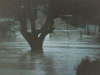 82-flood-imboden14